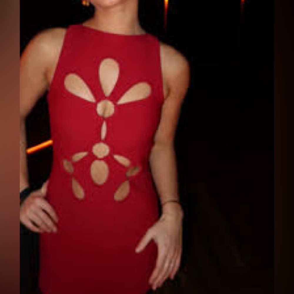 Cult gaia Red Bodycon Dress